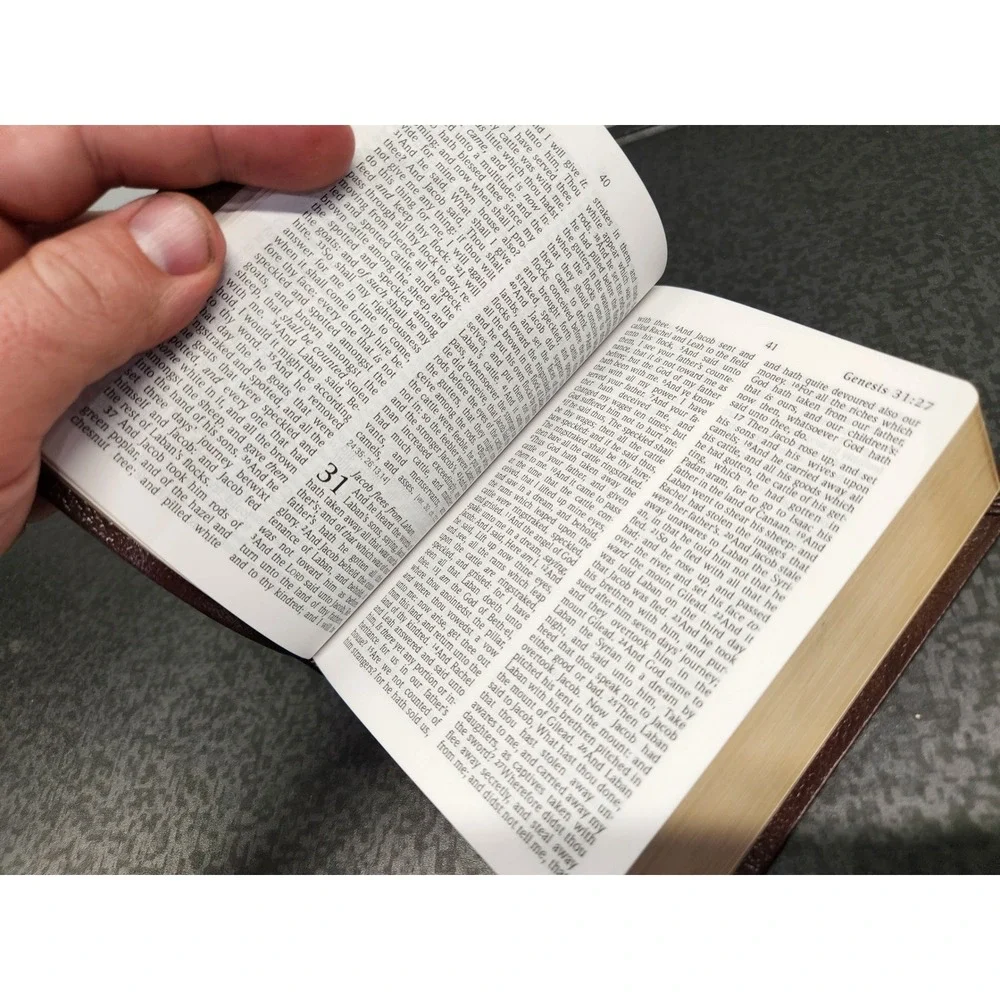 Hendrickson KJV Holy Bible Large Print Compact Reference Burgundy Bonded Leather